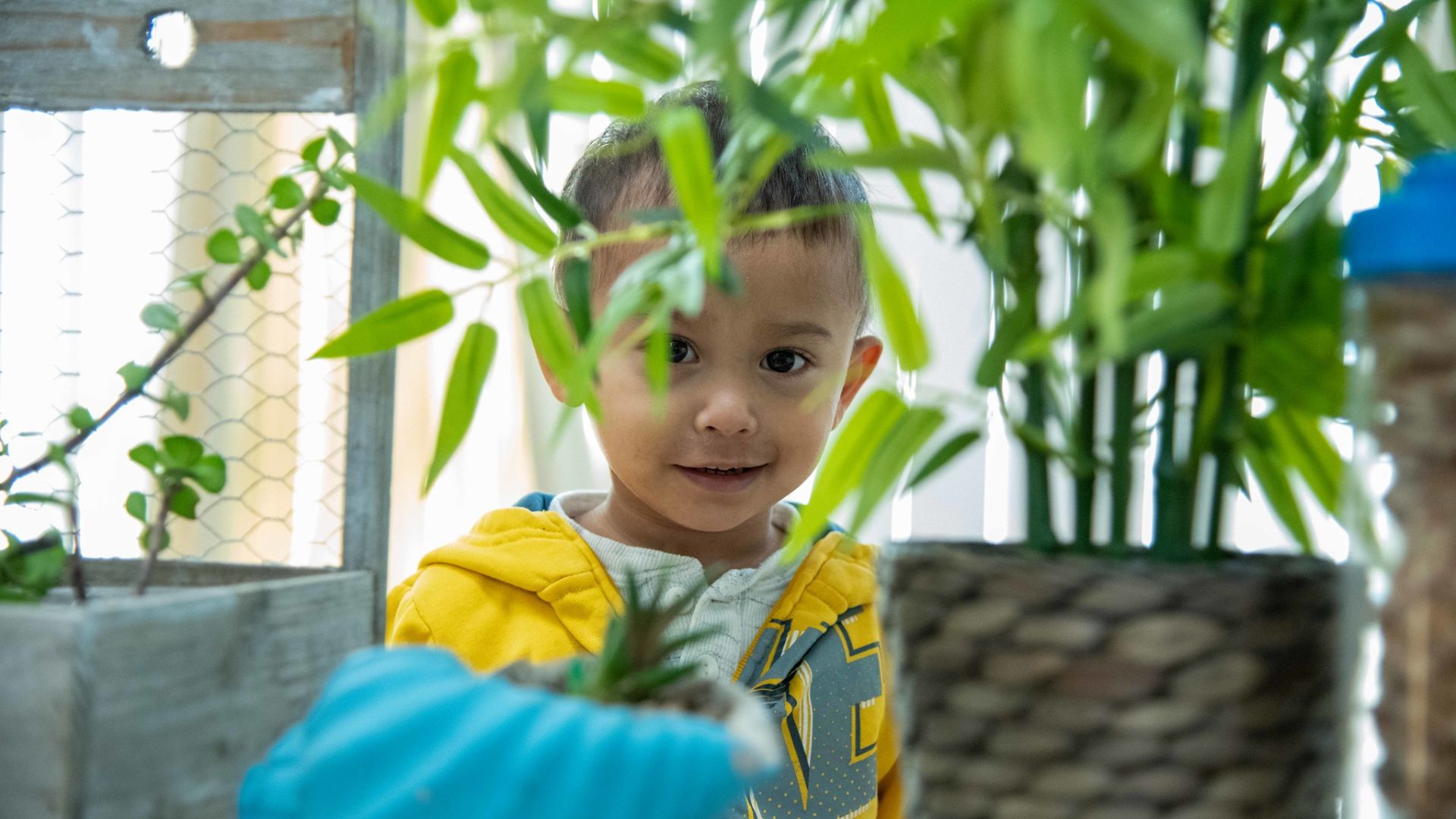 A young boy, behind a plant, smiles at the camera.