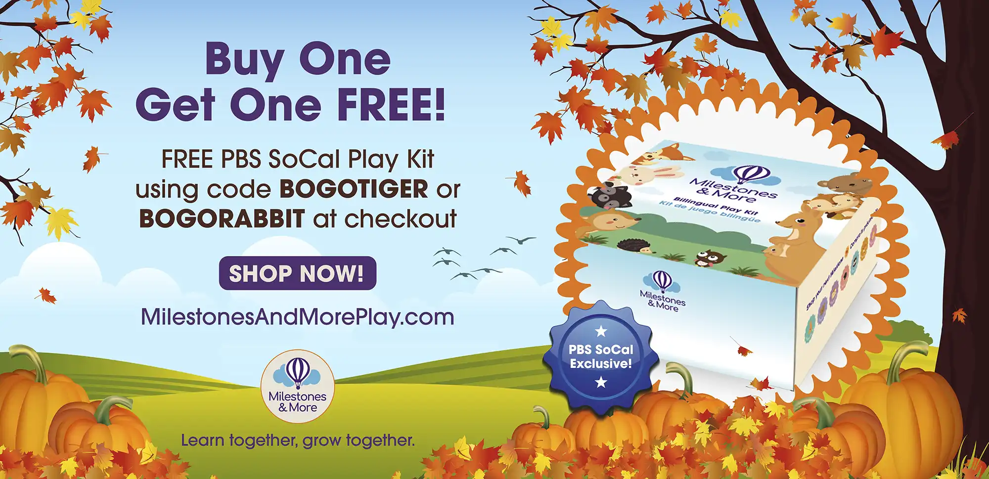 Milestones and More Play Kit Offer - Buy One and Get One Free
